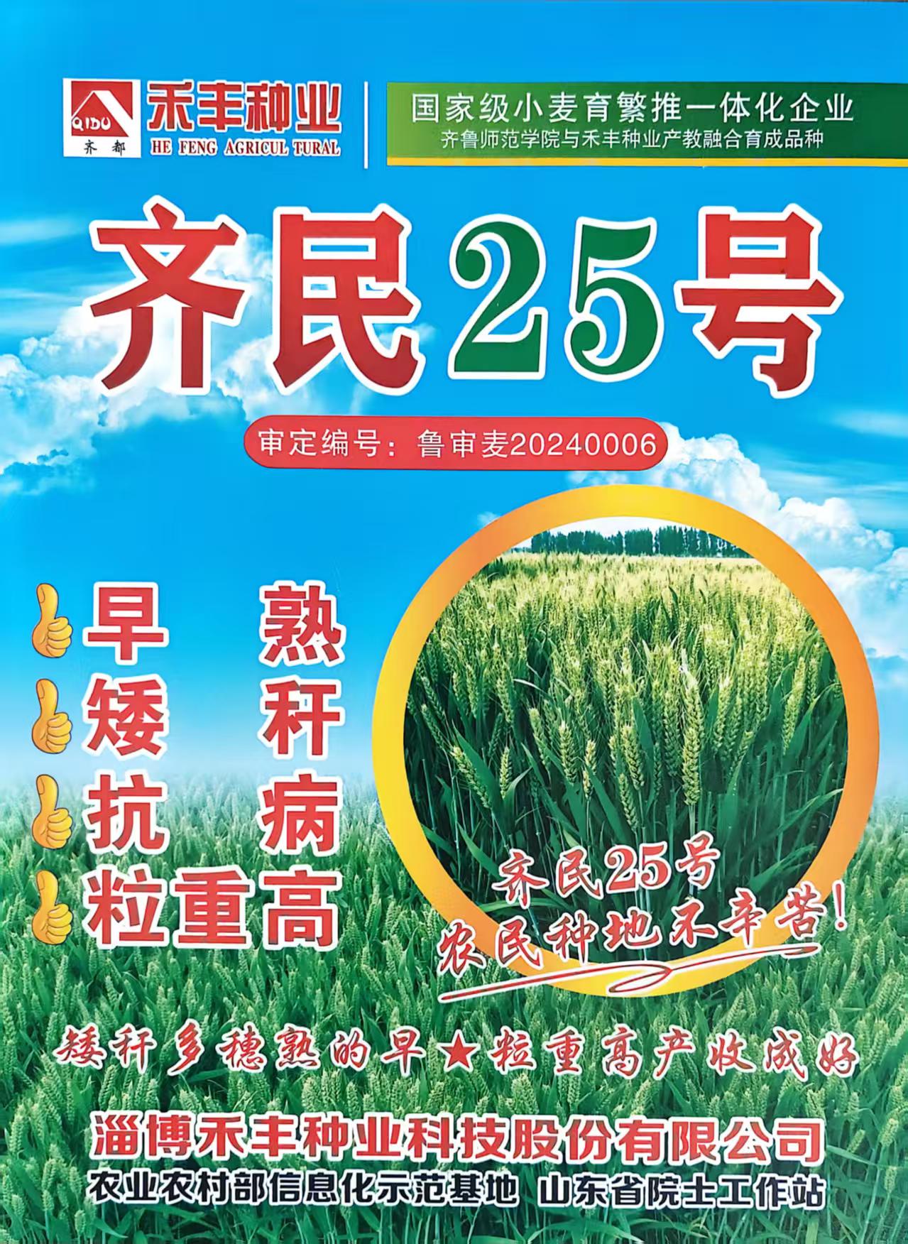 齐民25号